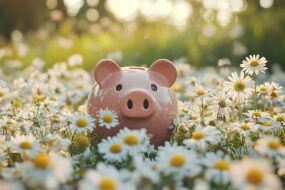 Pink piggy bank sitting in a sunny field of daisies