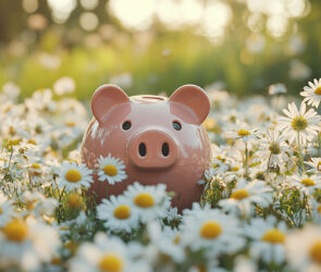 Pink piggy bank sitting in a sunny field of daisies