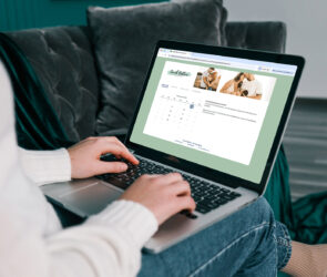 Client booking a portrait reveal session on a photographer's 17hats online scheduling calendar
