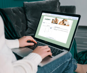Client booking a portrait reveal session on a photographer's 17hats online scheduling calendar